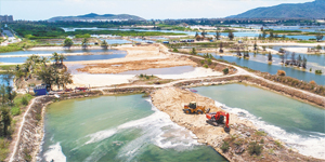 海口市水产养殖禁养区退塘项目