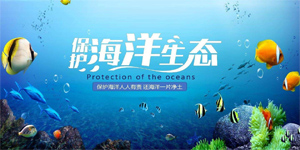 海洋生态保护修复项目解决方案