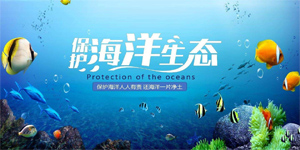 海洋生态保护修复项目解决方案